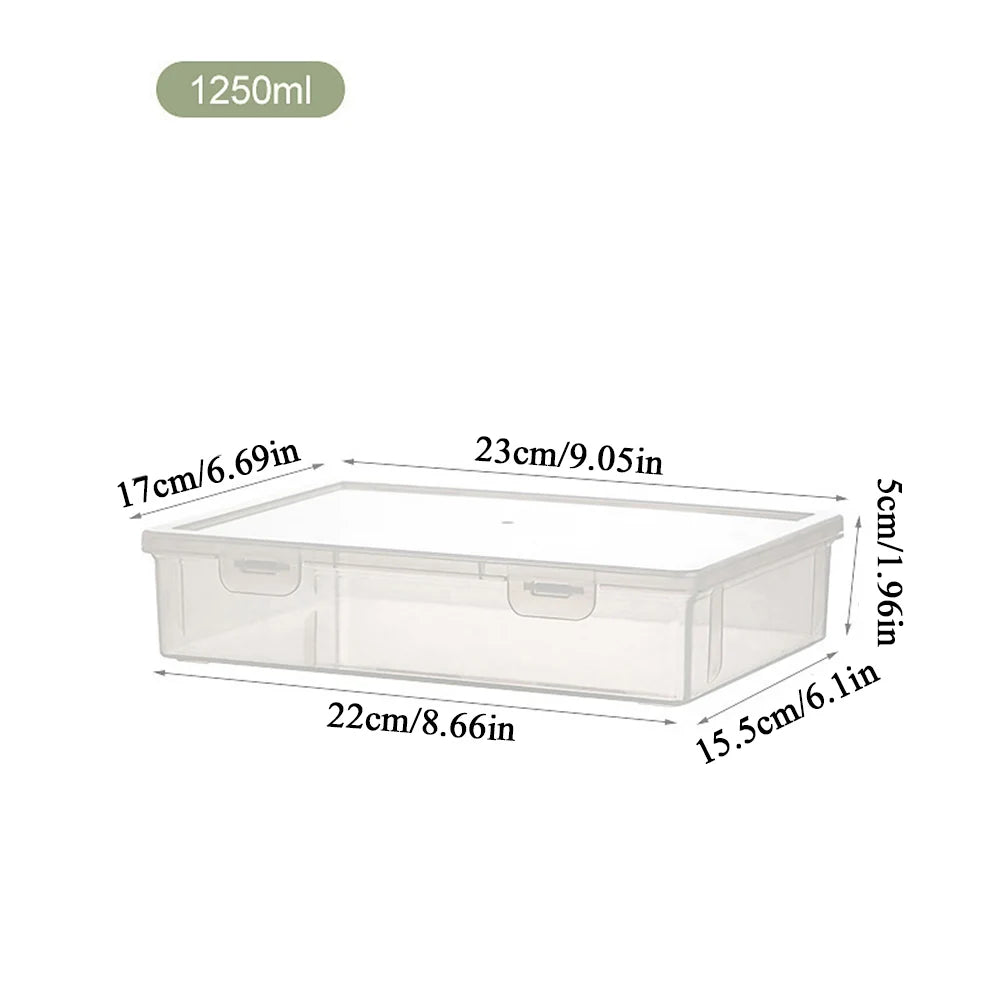 Plastic Document Organizer Organized Clear